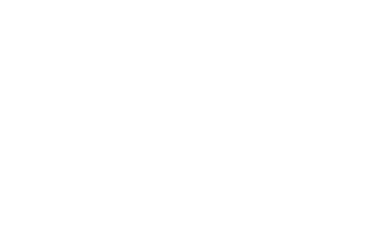 Client Logo 13